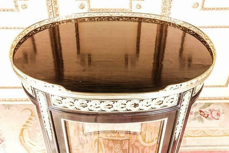 20th Century Louis XVI Classicist Style French Salon Vitrine photo furniture