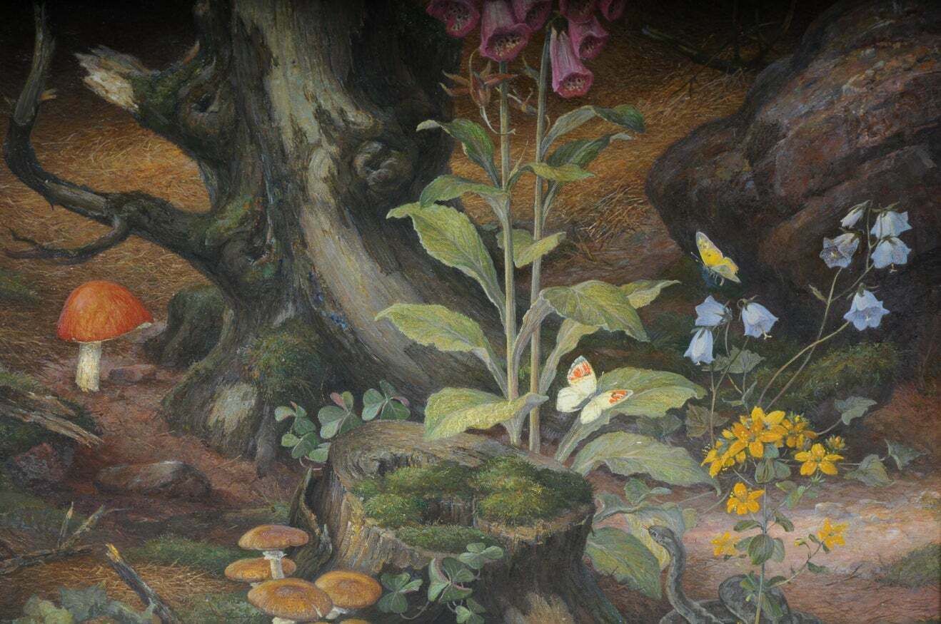 Beautiful Oil Painting Fawn Signed K. Roquette 20th Century photo for sale