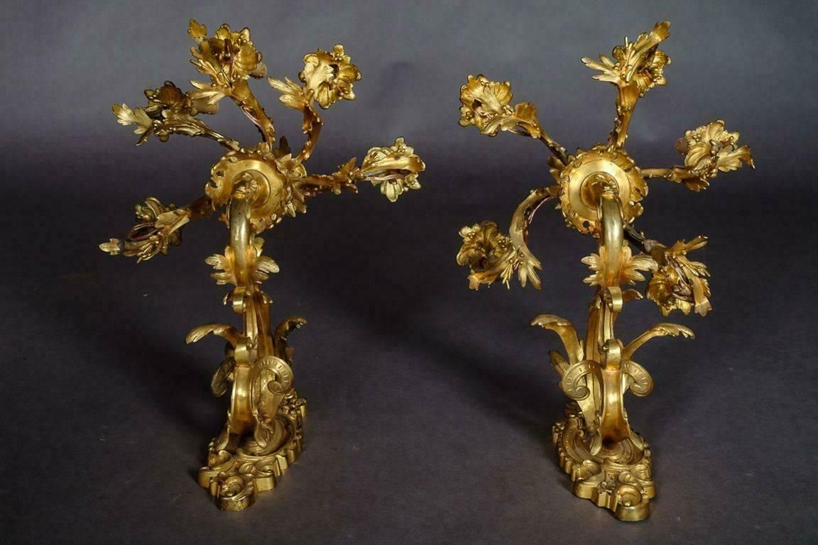 19th Century Napoleon III Rococo Pair Of Monumental Wall Appliques photo 4753.0