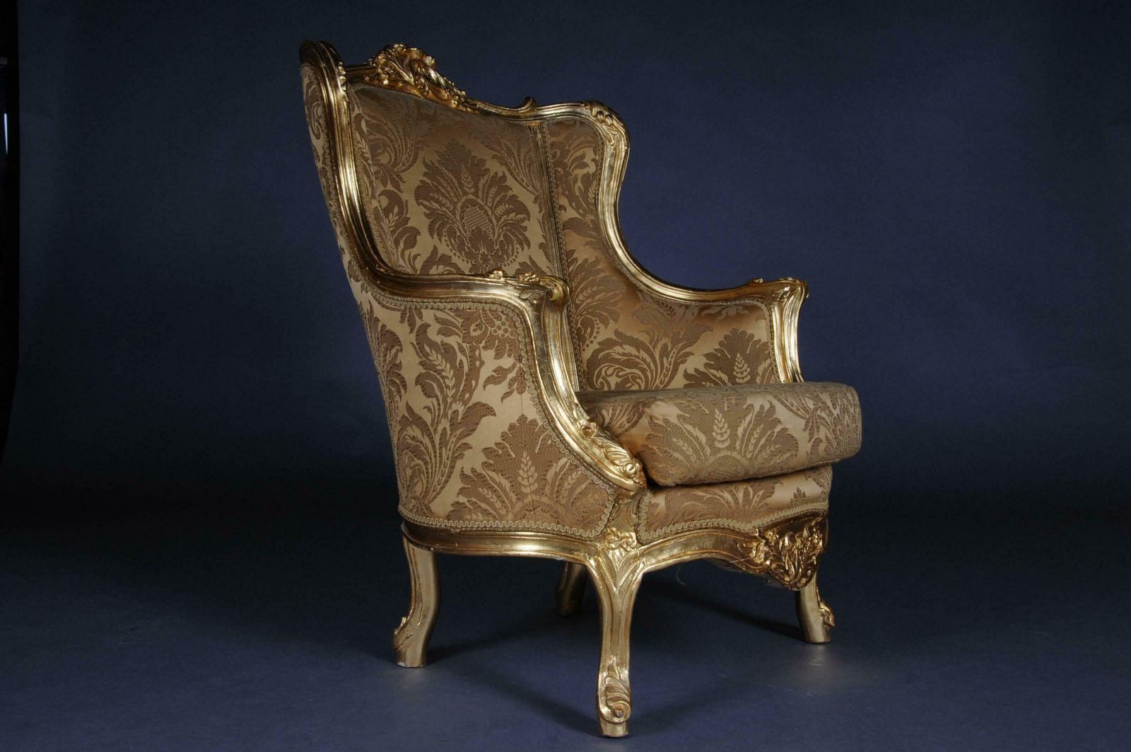 20th Century Louis XV Quinze Bergère Chair, Lounge photo furniture