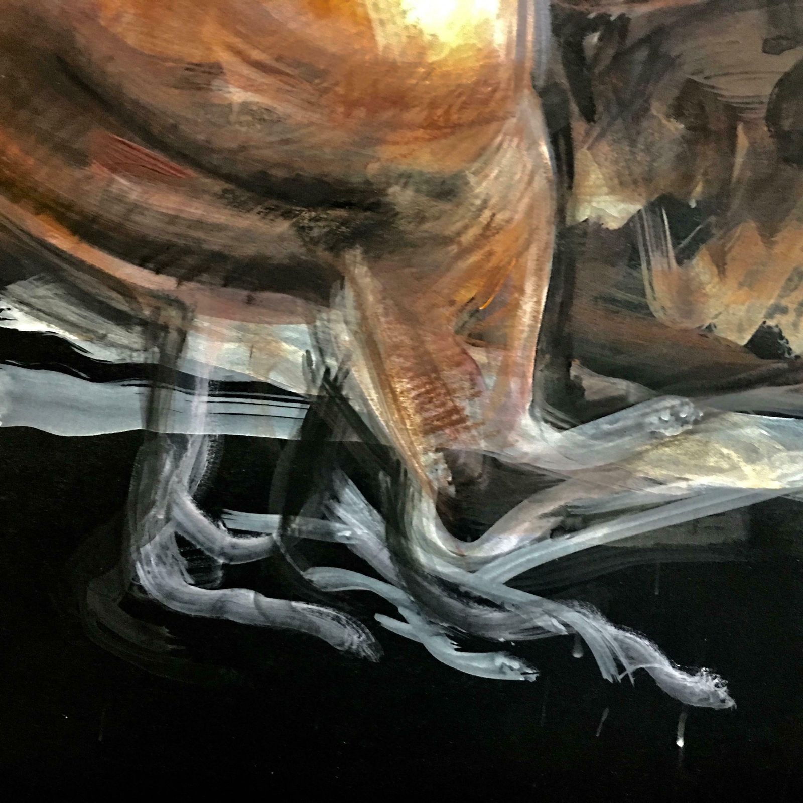 Horse On Black Sky Pencil Fat By Giuseppe Colin 1990 photo Art
