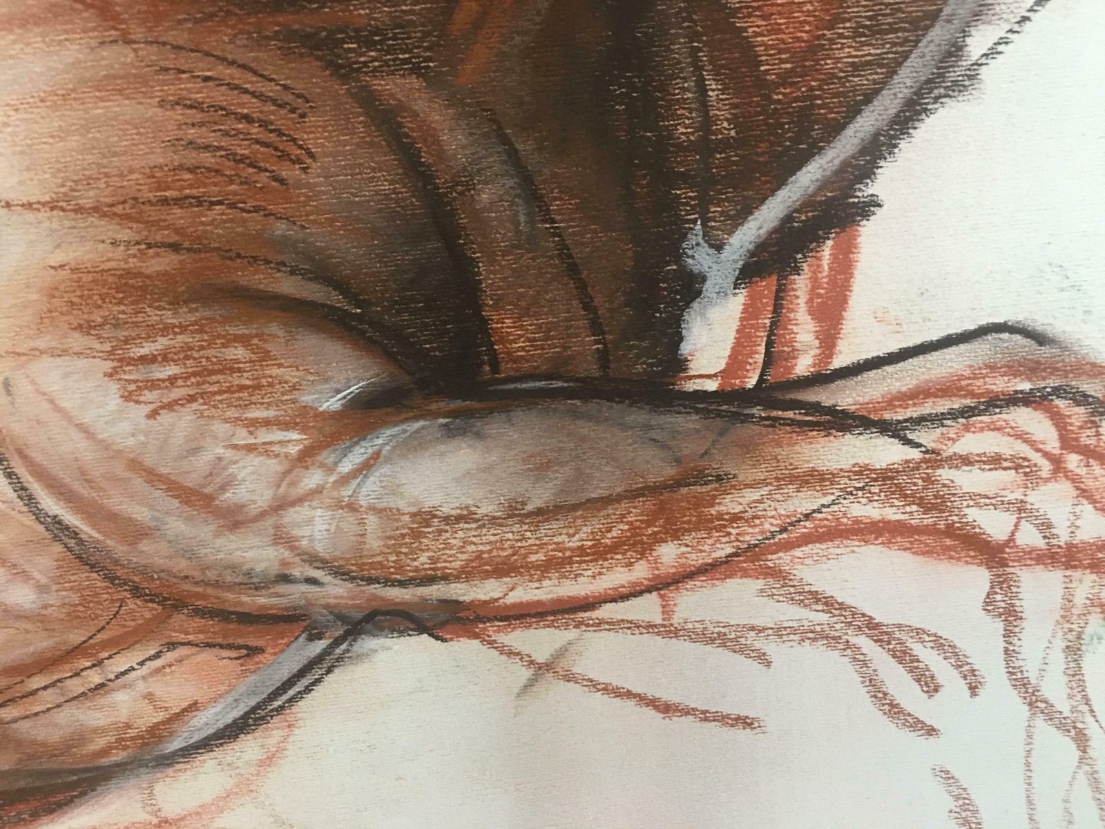 Mad Horse Pencil Fat By Giuseppe Colin 1990 photo Art