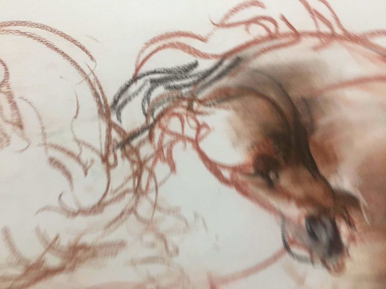 photo buy Mad Horse Pencil Fat By Giuseppe Colin 1990