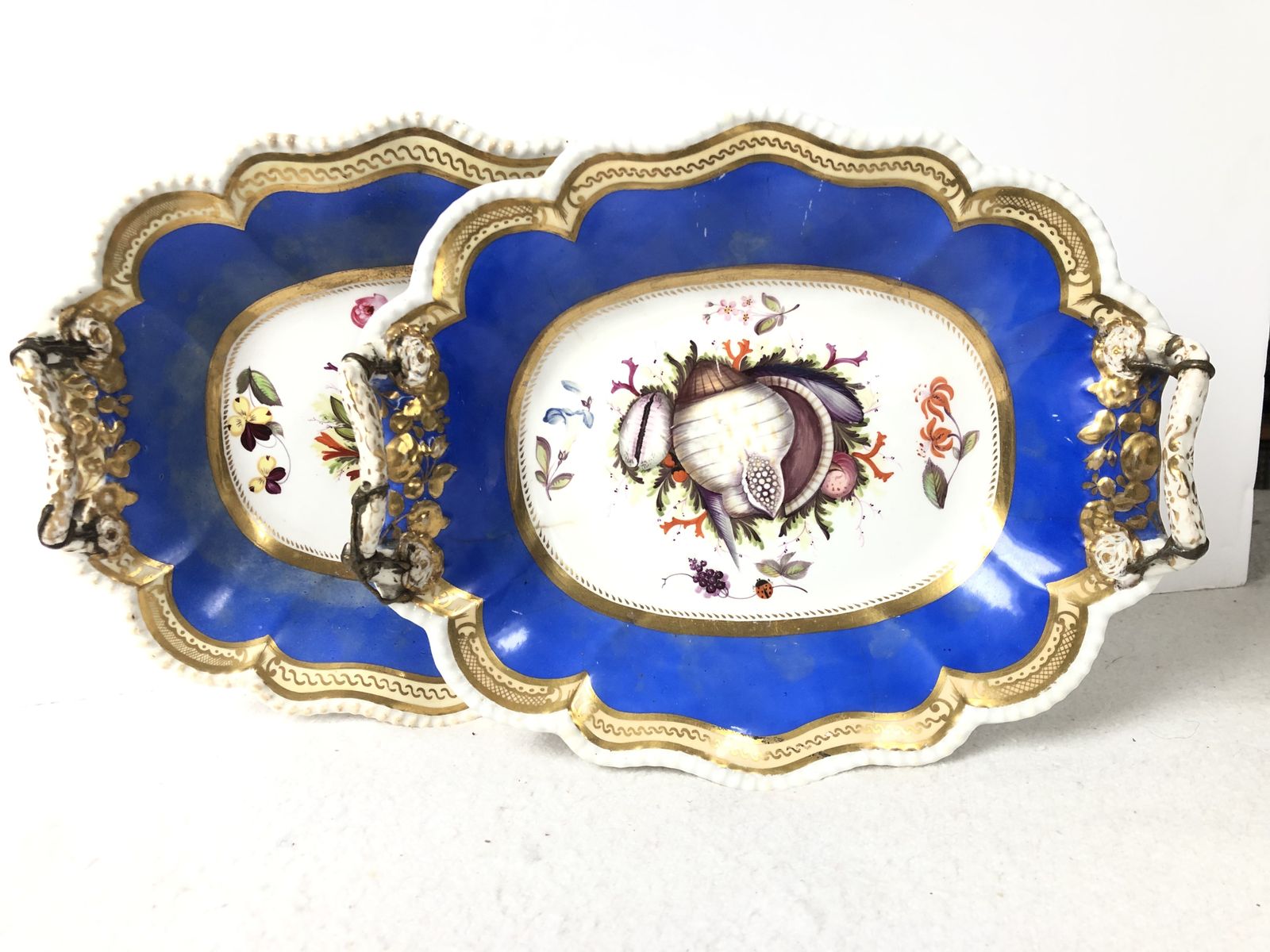 A Rare Pair Of Dishes With Beautifully Painted Seashells. Possibly Coalport.