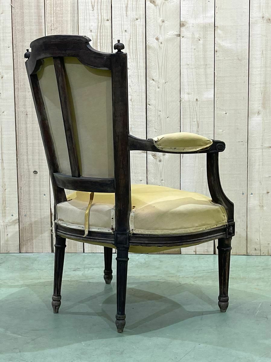 Louis XVI Style Beechwood Armchair, Late 19th Century photo for sale