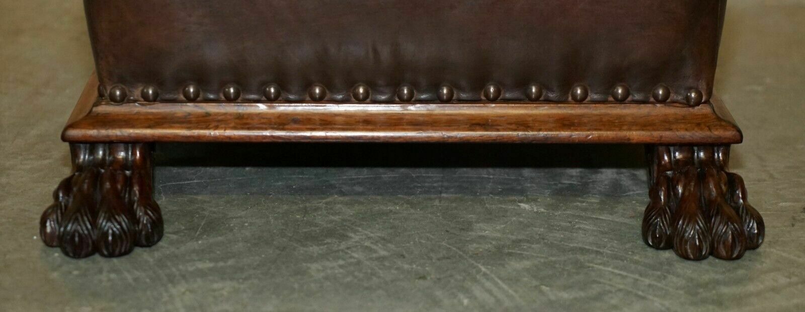 Antique Regency Circa 1815 Brown Leather Rosewood Lion's Hairy Paw Footstool photo Furniture