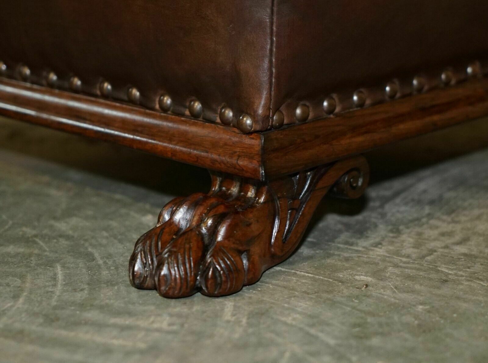 photo for sale Antique Regency Circa 1815 Brown Leather Rosewood Lion's Hairy Paw Footstool