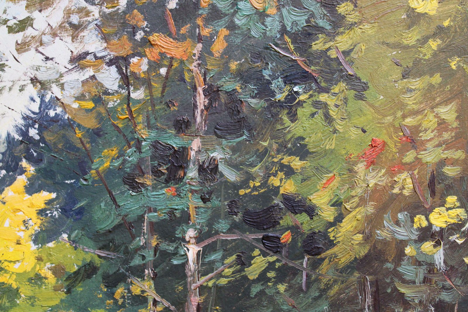 Edgars Vinters Sunny Autumn Forest Edge. 1960, Cardboard, Oil photo buy