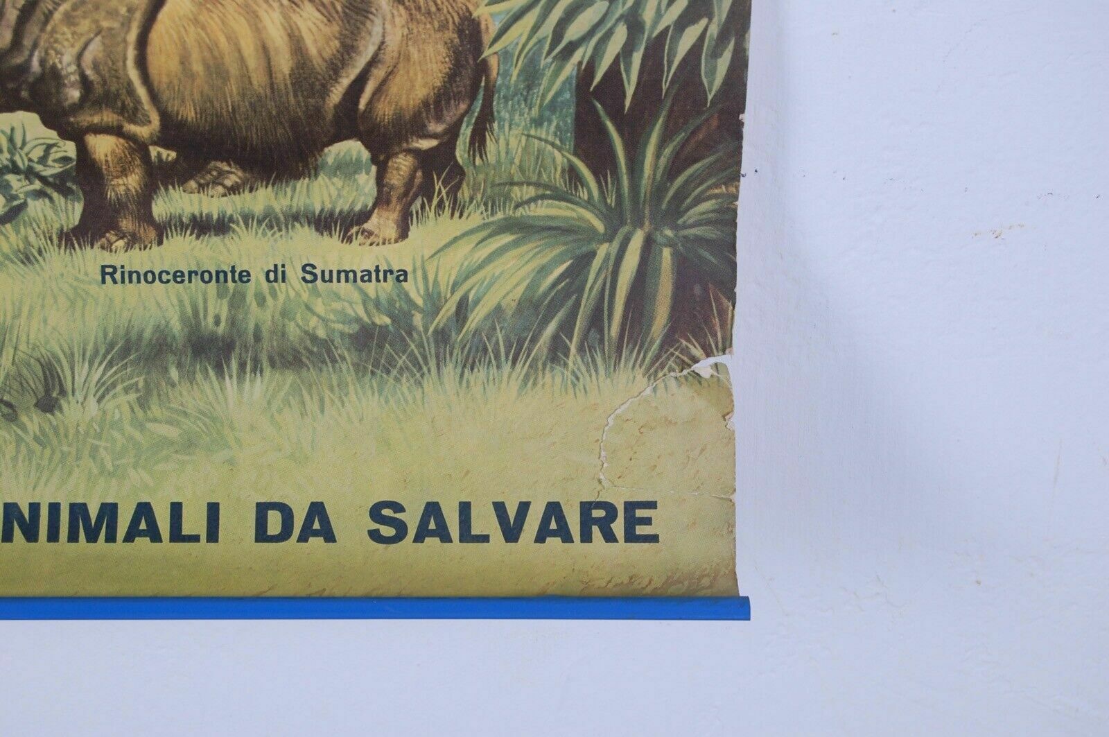 Animals To Be Saved2 Poster Cariplo Vintage Educational School Poster From The 70s photo furniture