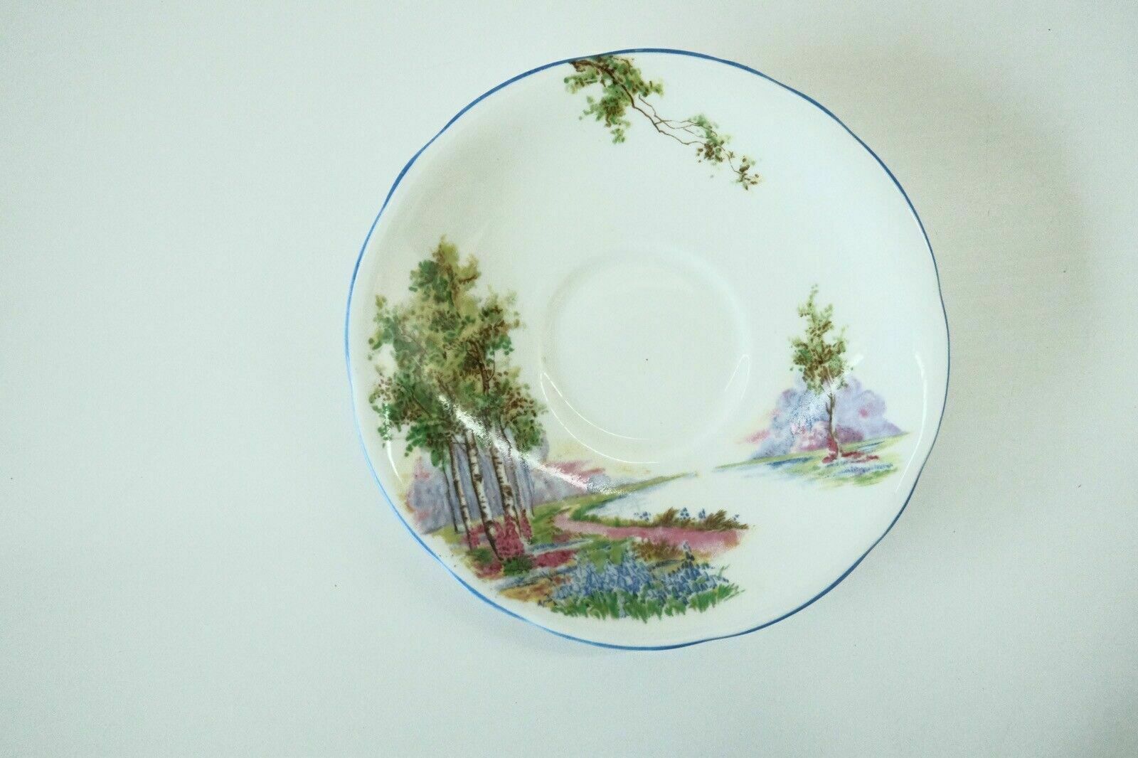 photo for sale Aynsley England Bone China Landscape Birch Collection Teacup With Stand