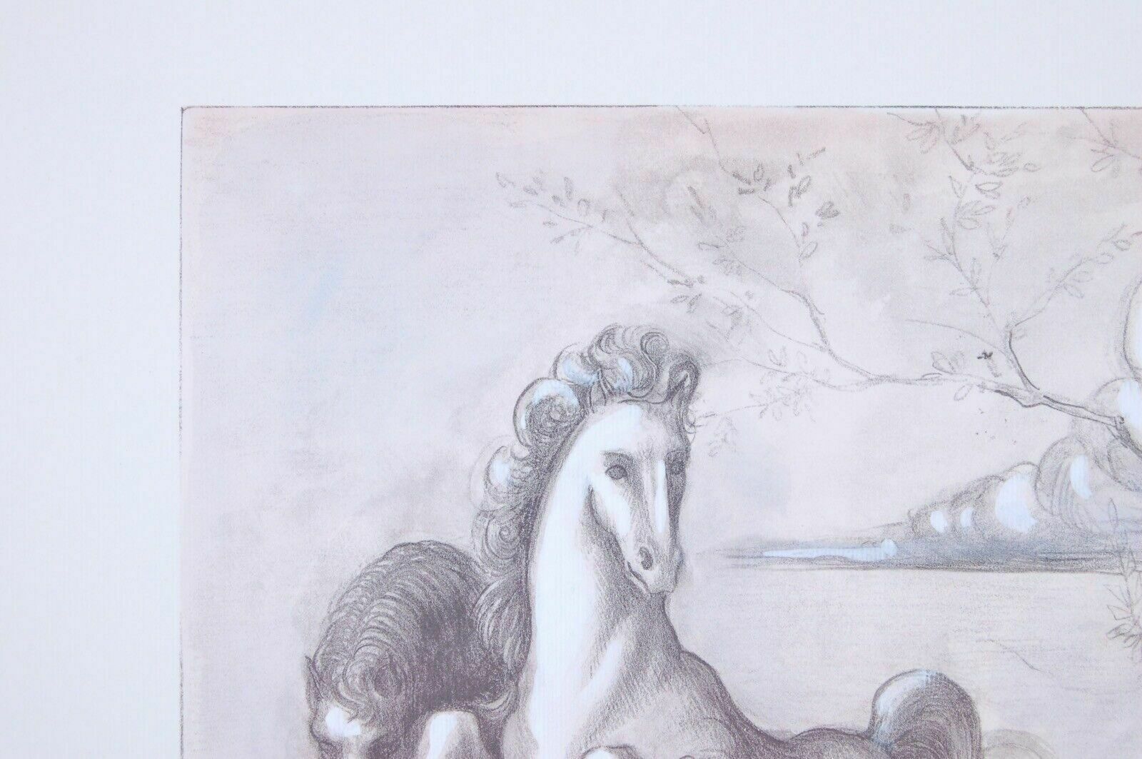 Photolithograph   N°32 Of 125 Copies Retouched By Hand By Marisa Facchinetti photo for sale