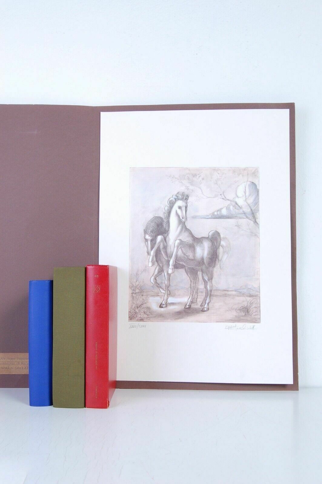 photo for sale Photolithograph   N°32 Of 125 Copies Retouched By Hand By Marisa Facchinetti