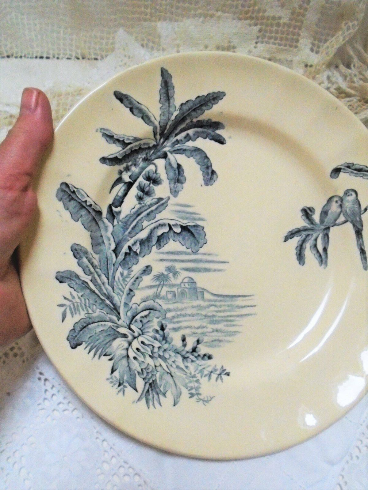 Rare Antique Cream French Ironstone Plate, Longchamp, 'Exotique', Banana Palms With Parrots, Blue Gray Transferware photo Home Decor