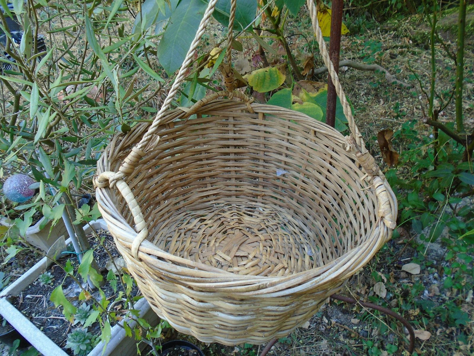 Lovely Vintage French Woven Wicker Basket With 3 Handles