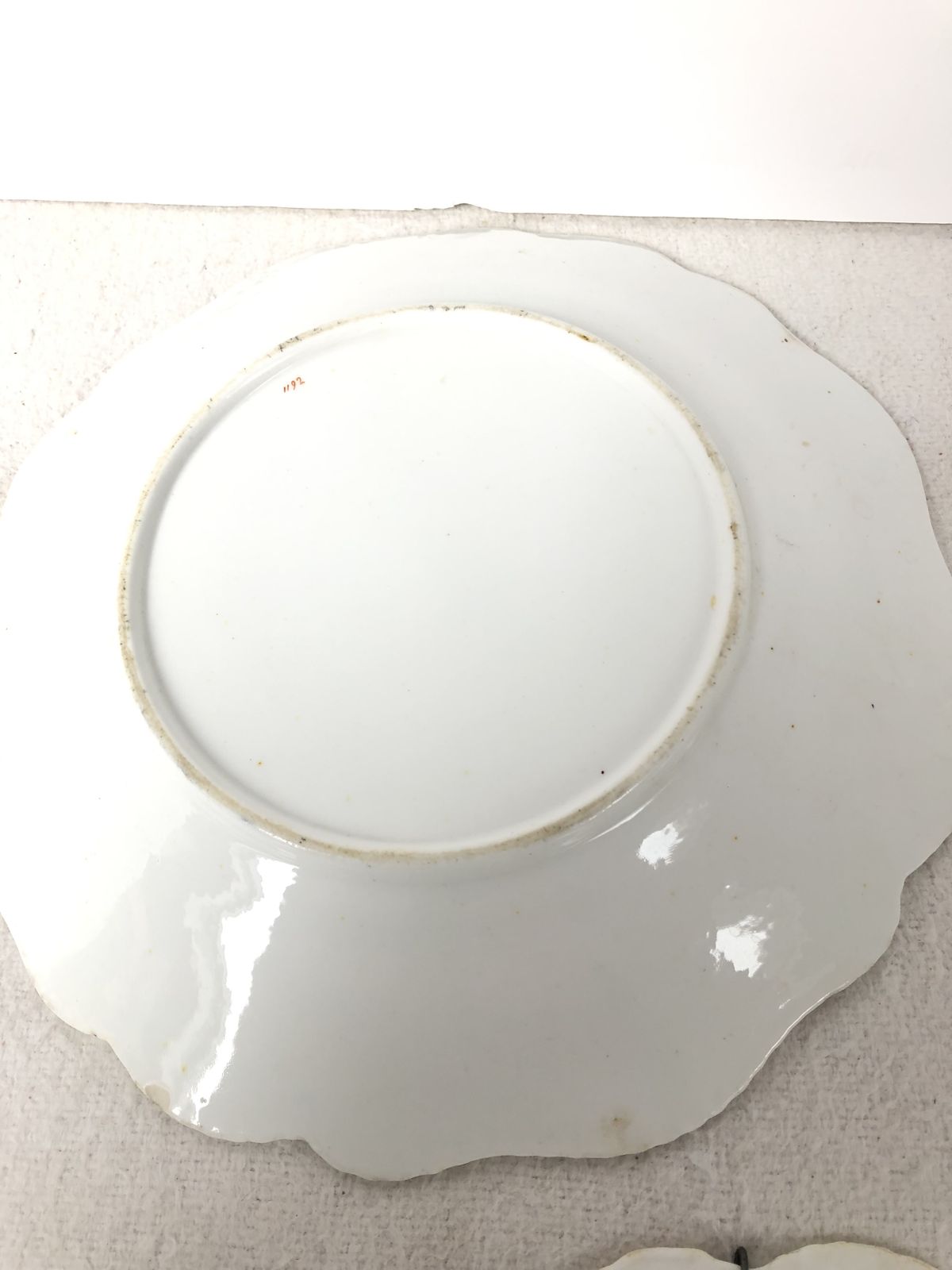 photo for sale A Beautiful Set Of Five Cabinet Plates Hand Painted With Shells. Extremely Rare