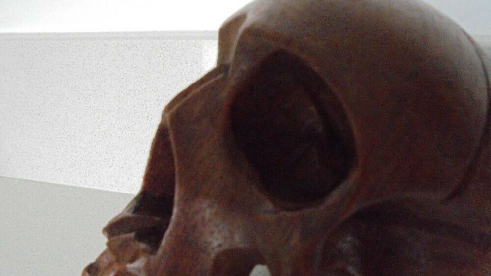 Early Carved Wooden Skull, 1800s photo 680.0