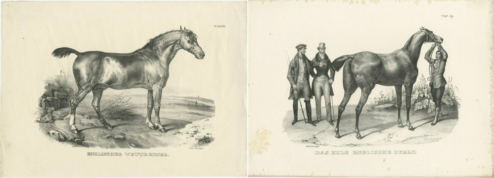 Set Of 2 Original Antique Prints Of English Horses