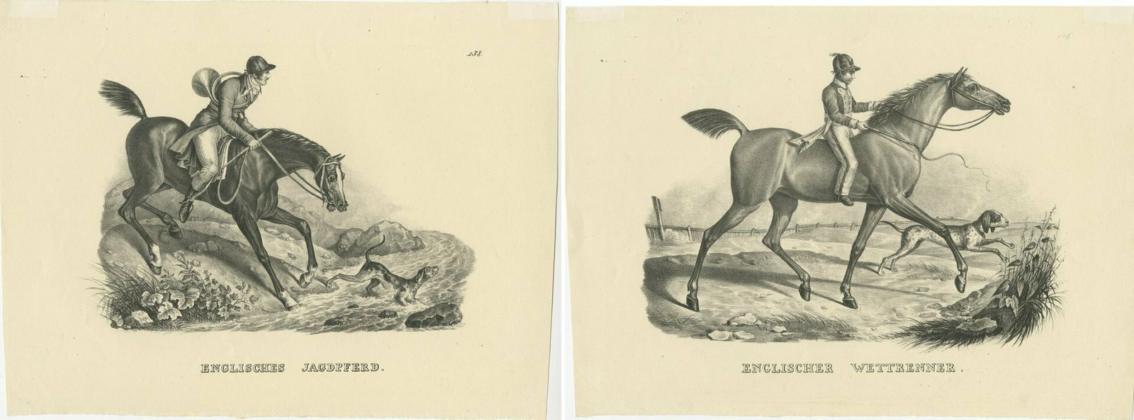 Set Of 2 Original Antique Prints Of English Horses