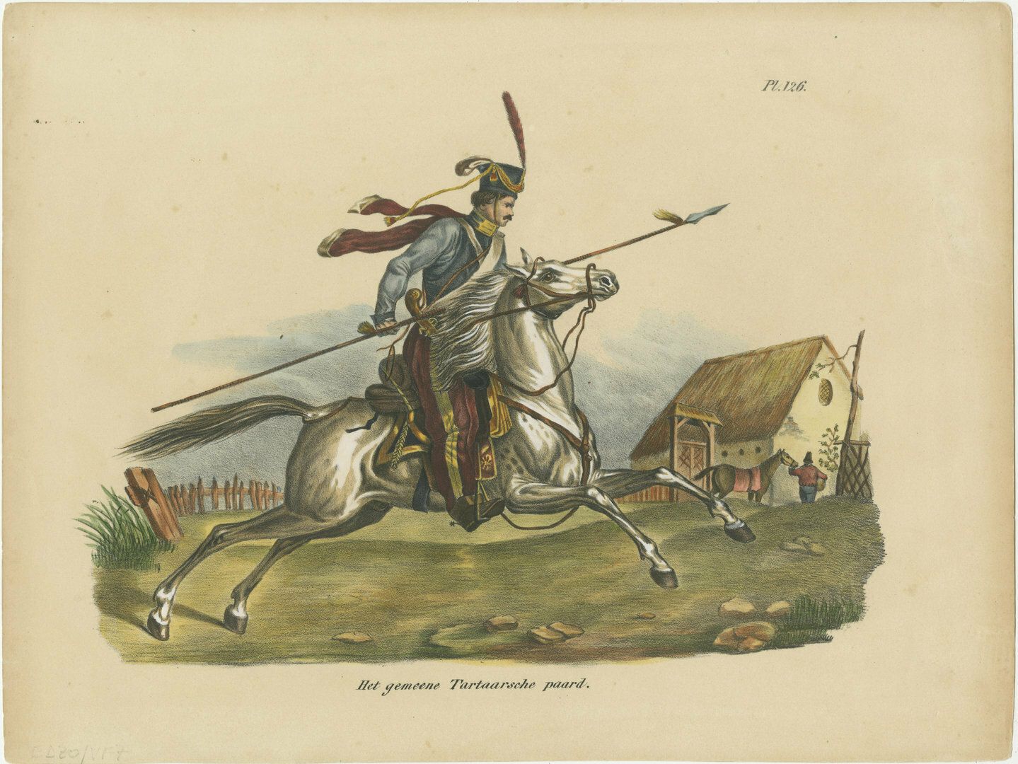 Original Antique Hand Colored Print Of A Tartar Horse