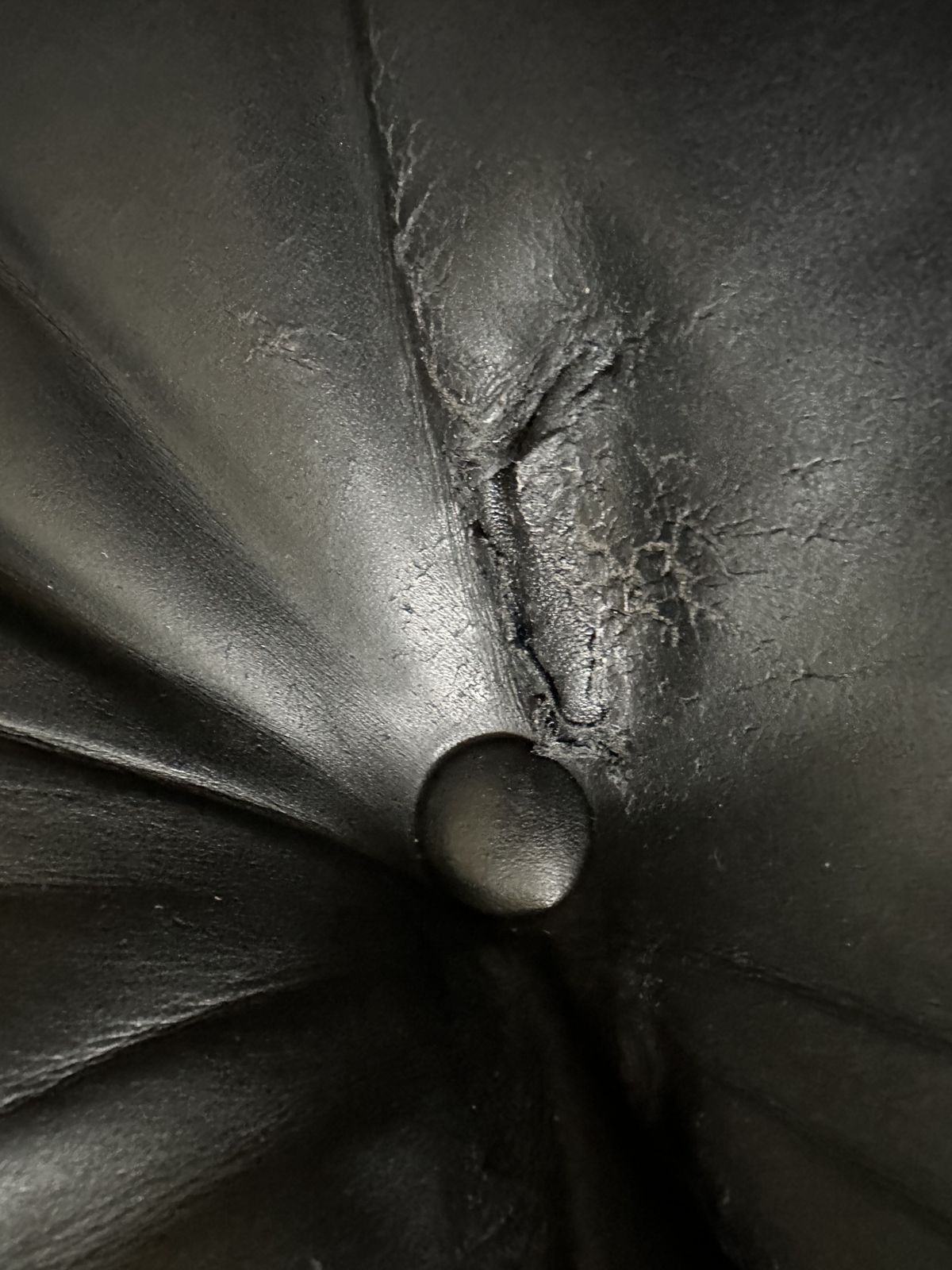 Furniture Ct Furniture Collection Eames Lounge Chair photo