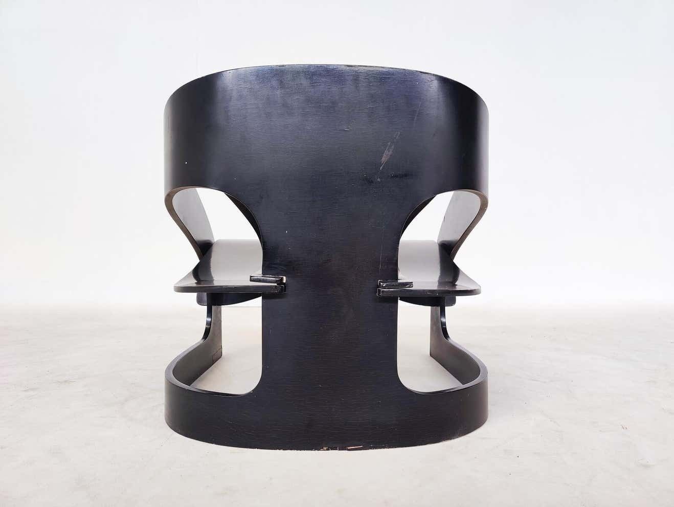 Mid Century Modern Wooden Armchair Model 4801 By Joe Colombo For Kartell, 1960s photo 5104.0