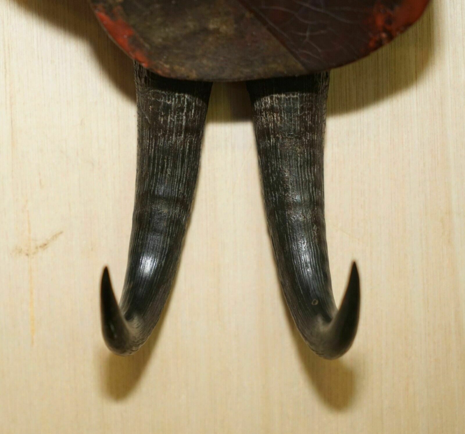 photo furniture Antique Circa 1880 Super Rare Black Forest Hand Carved And Painted Whip Hook