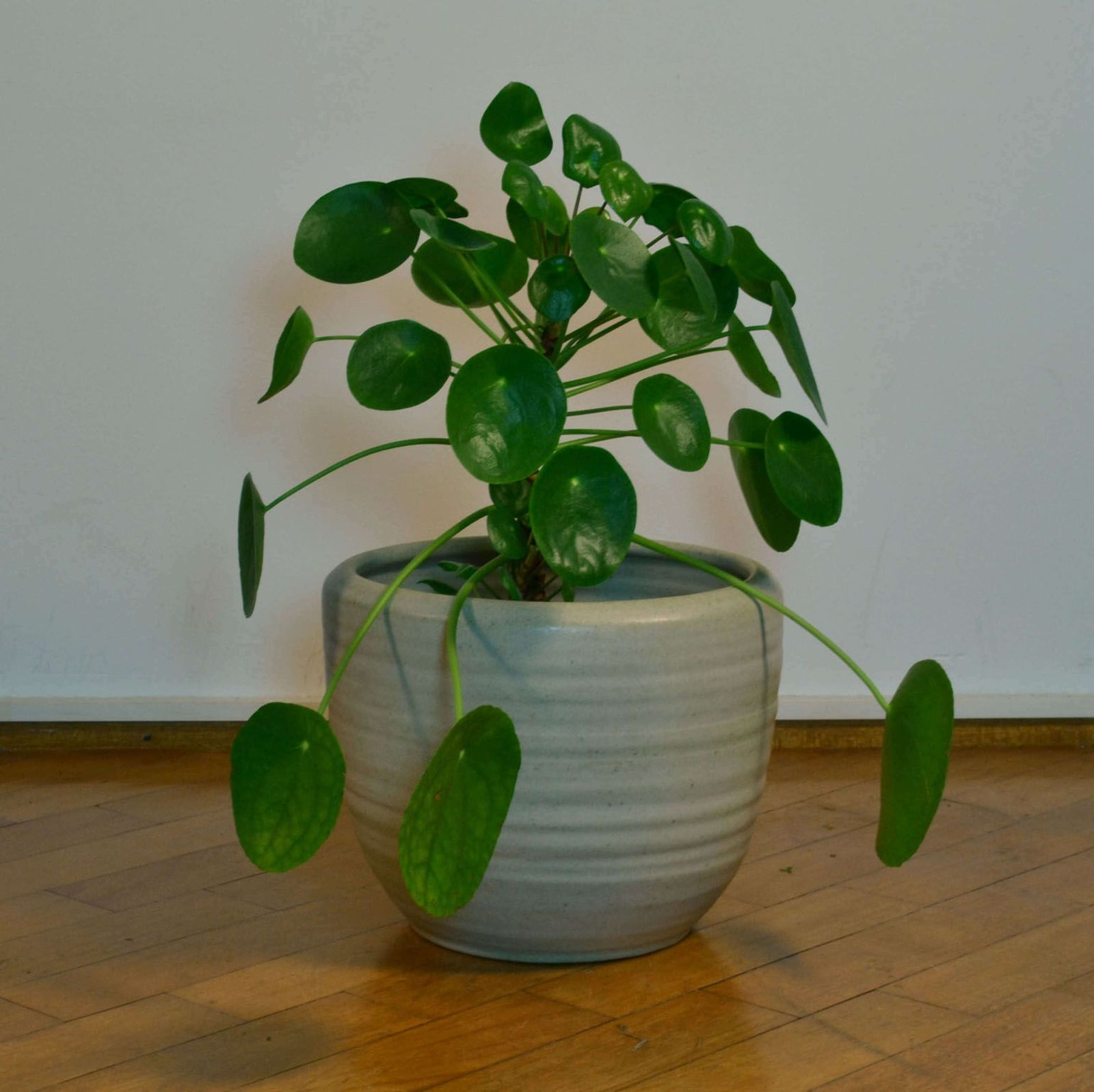Four Large White Ceramic Studio Pottery Plant Pots, Mobach 1980 photo for sale