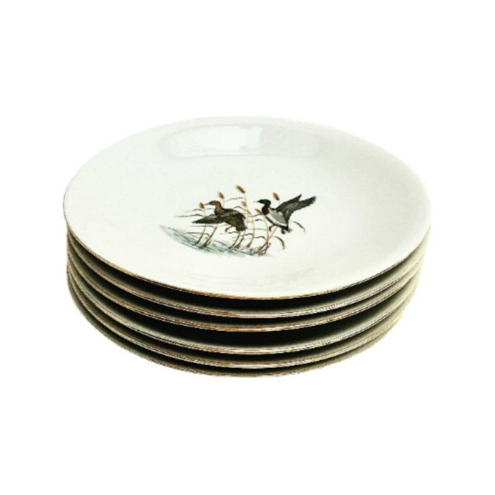 6 Pheasant Bird Soup Or Pasta Plate Hunter Bareuther Waldsassen, Game Bird Wildlife Cabin Decor, Animals Nature Woodland Nature Collection