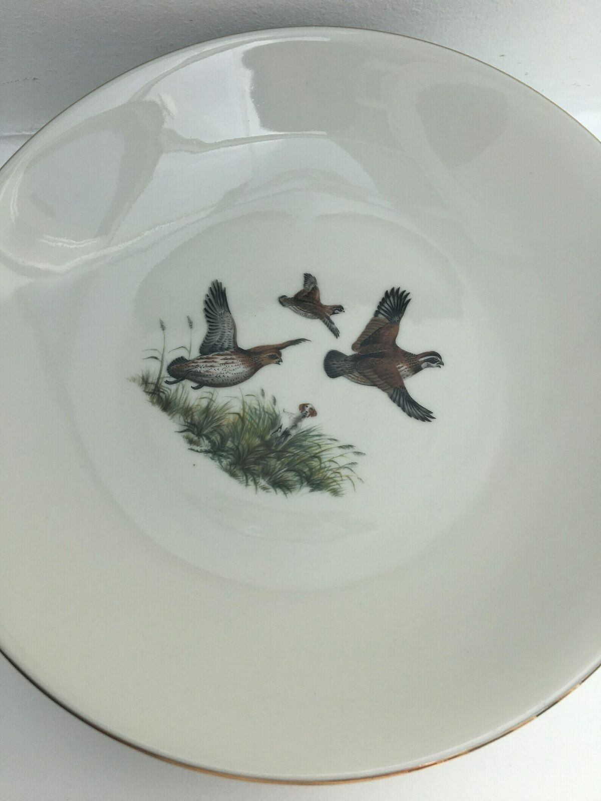 6 Pheasant Bird Soup Or Pasta Plate Hunter Bareuther Waldsassen, Game Bird Wildlife Cabin Decor, Animals Nature Woodland Nature Collection photo Home Decor