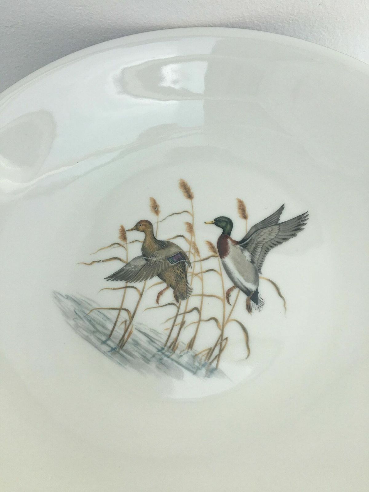 6 Pheasant Bird Soup Or Pasta Plate Hunter Bareuther Waldsassen, Game Bird Wildlife Cabin Decor, Animals Nature Woodland Nature Collection photo vinterior
