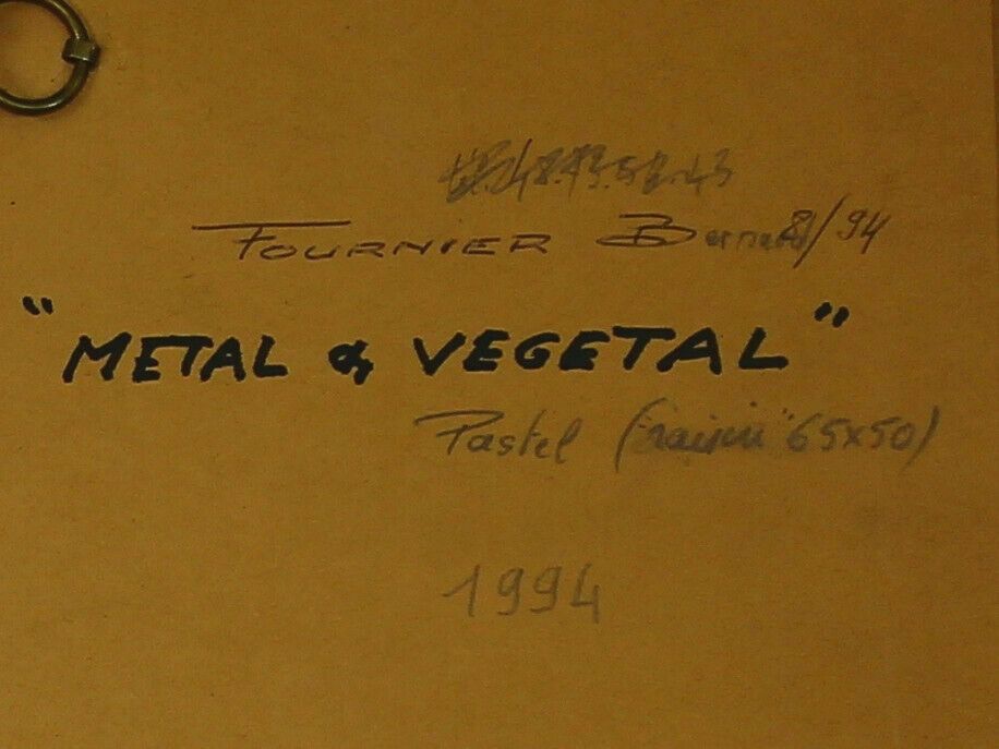 Pastel By Bernard Fournier. Titled "Metal And Vegetal" photo for sale