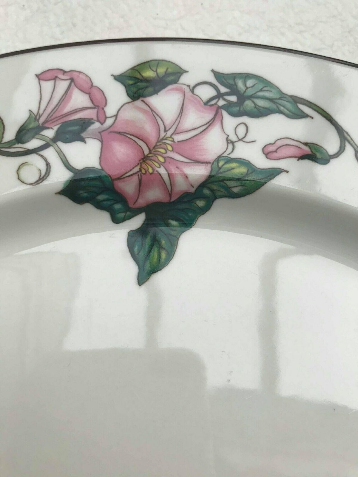 Cake Dish Plate Villeroy And Boch Palermo Pattern Large Dinner Plate Charger Romantic Cake Dish Pink Morning Glory Border Brown Trim photo Home Decor