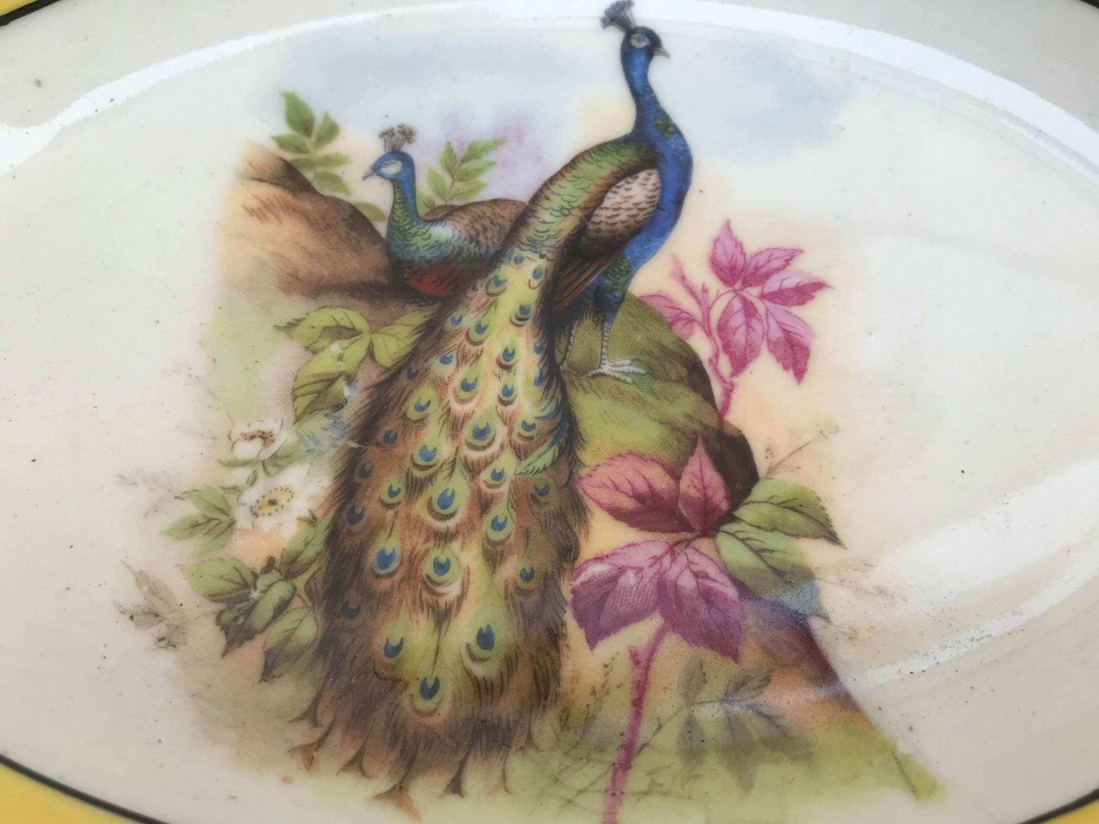 Antique Serving Dish Reticulated Porcelain Oval Open Work Bread Basket Veggie Dish Germany Bread Bowl Plate Dish Hand Painted Bird Peacock photo 142.0