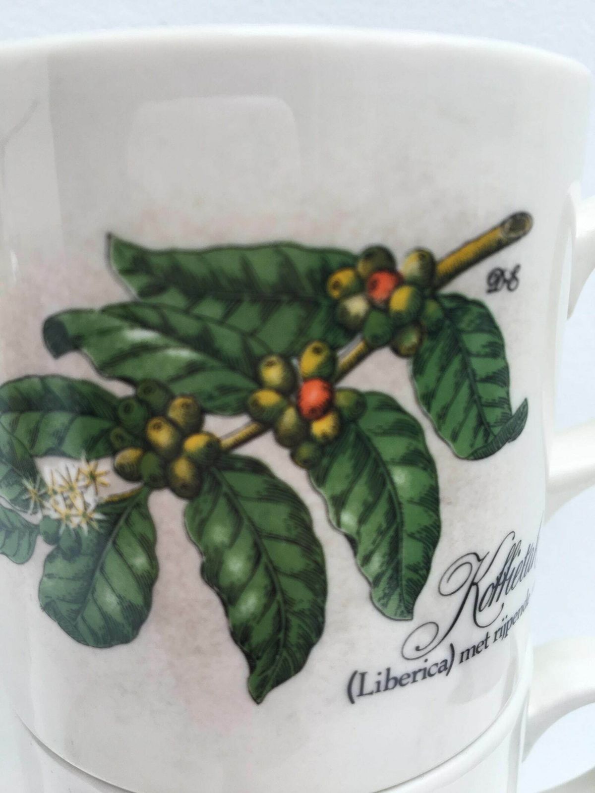 Coffee Mugs Villeroy And Boch, Luxembourg, Vintage Koffietak, Liberica , Breakfast Mug, Liberica With Ripening Fruits Cups Coffee Dutch photo vintage