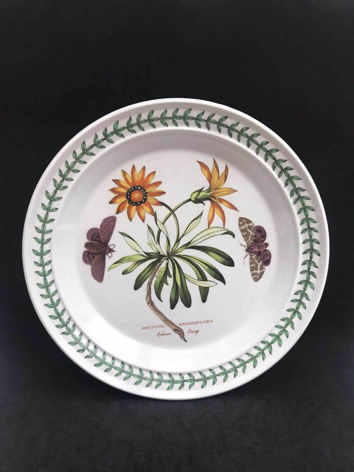 Portmeirion Botanica Dinner Plate 70s Botanic Garden Dinner Plate Cistus Purpureus" Woody Nightshade Made In England China Replacement