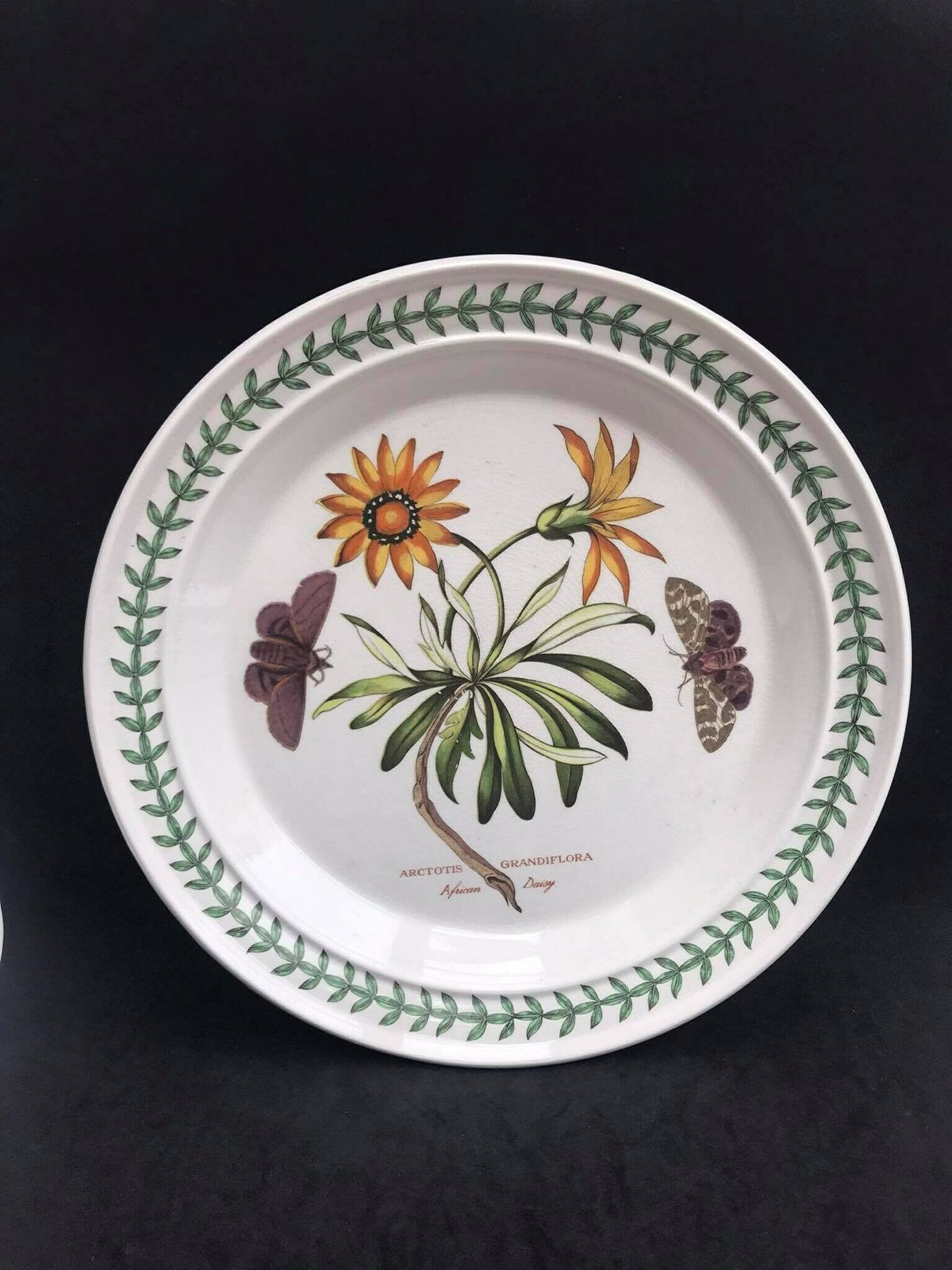 photo furniture Portmeirion Botanica Dinner Plate 70s Botanic Garden Dinner Plate Cistus Purpureus" Woody Nightshade Made In England China Replacement