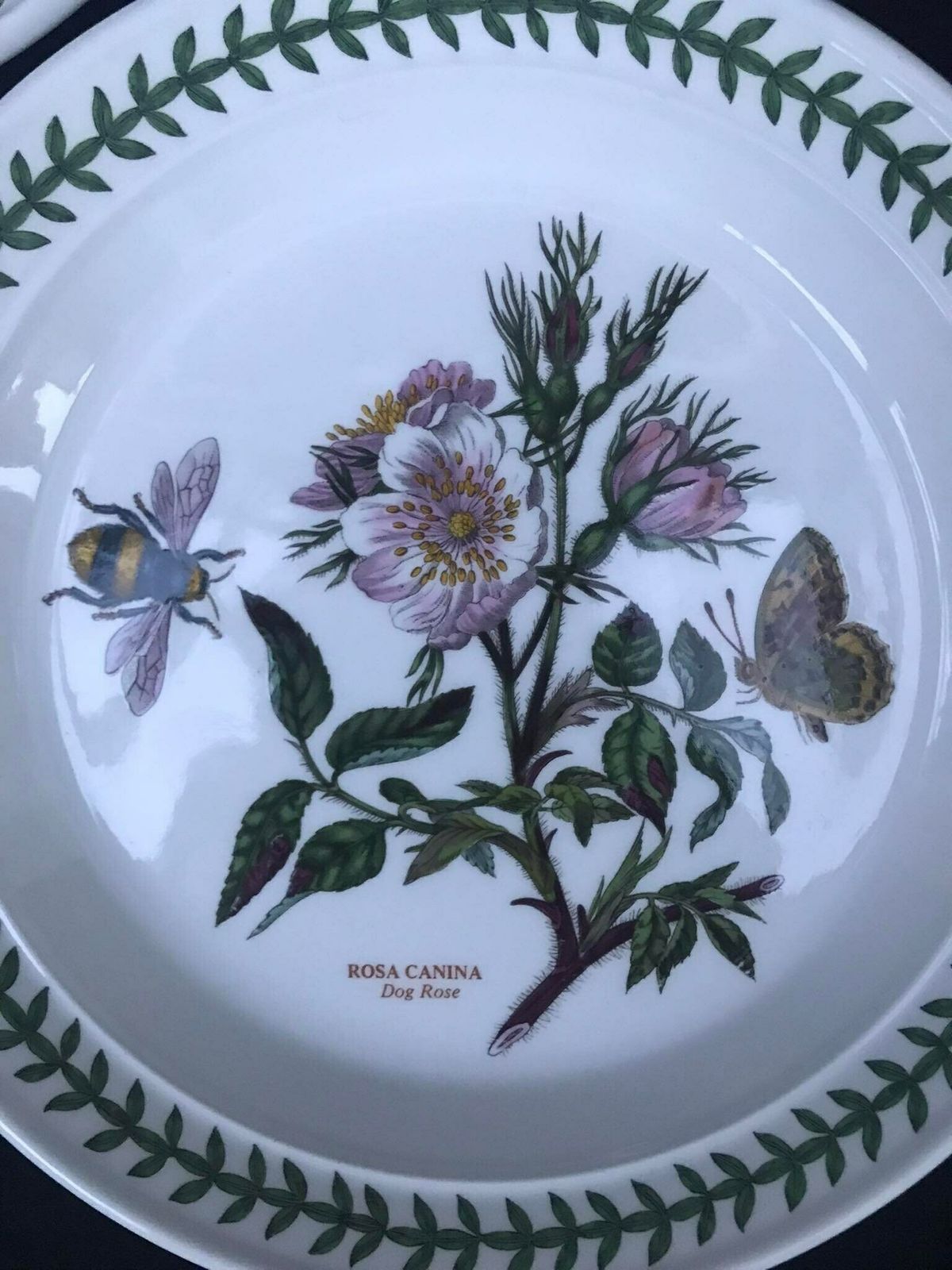 Portmeirion Botanica Salad Plate 21,7 Cm Diameter 8.5" Bread Butter Plate 7.2" Rim Cereal/Oatmeal Bowl Botanic Garden Rosa Replacement photo 114.0