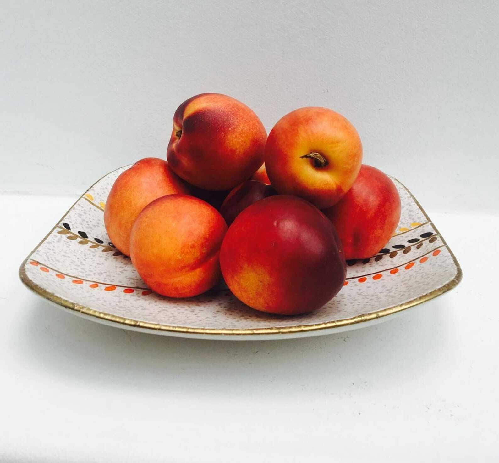 Vierkante Schaal Mid Century Modern Aardewerk West Duits Bay Keramik Mand Handvat Dienblad, Handgeschilderd Kunstaardewerk Serveerschaal Fruitmand photo furniture
