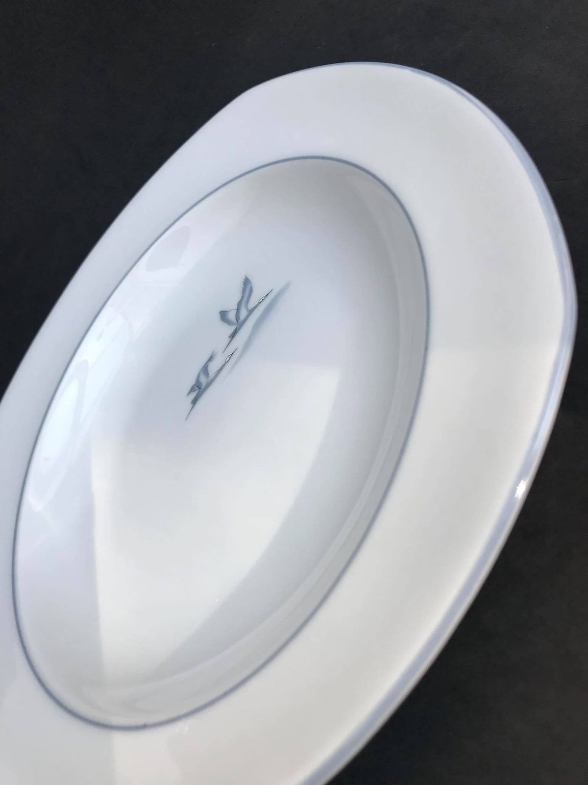 6 Soup Pasta Plates Porcelain Winterling Marktleuthen Spülmaschinenfest Bavaria Vintage Rare Replacemnt Birds Beachside Coast Kitchen photo vintage
