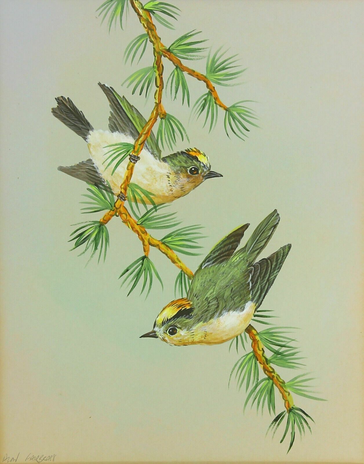 Acrylic Painting By Alan Fairbrass. Goldcrests photo furniture