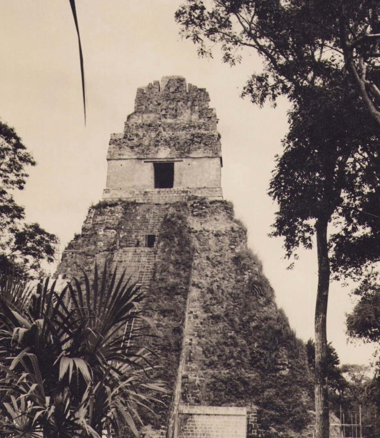 Guatemala, Tikal, Black And White Protograph, Ca. 1960s photo furniture