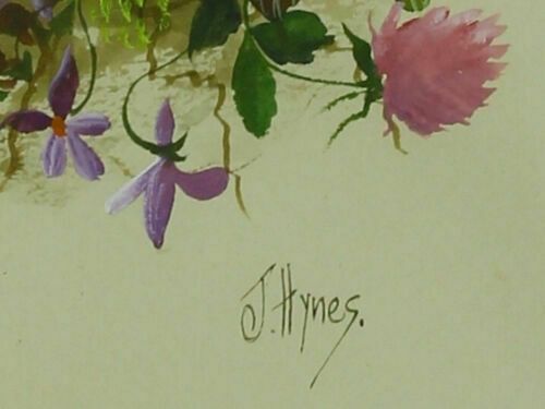 Watercolour Of Dog Roses, Violets, Red Clover And Burnet Saxifrage By Joe Hynes. photo for sale
