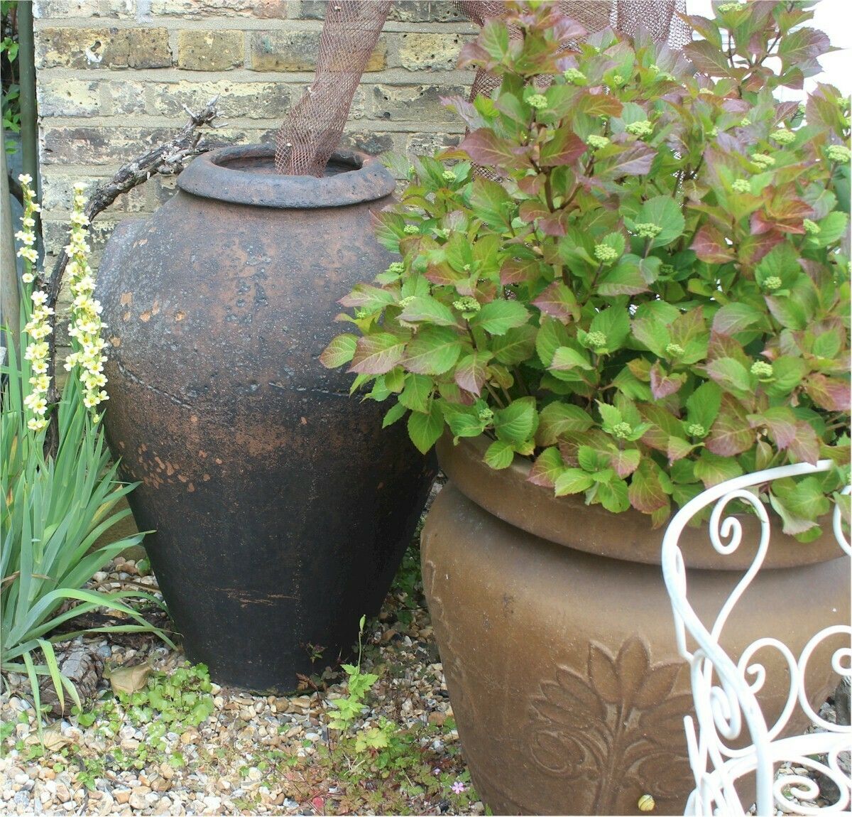 Large Antique European Olive Terracotta Garden Urn photo Home Decor