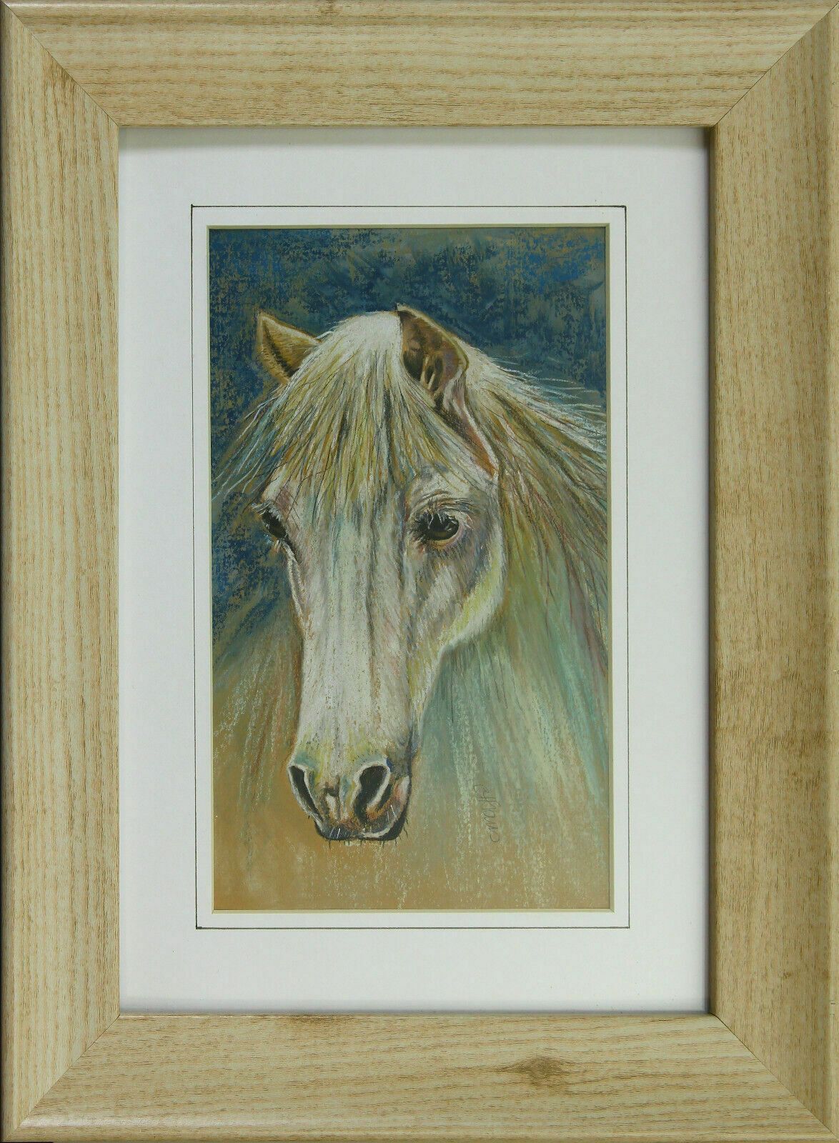 Pastel Of A White Horse By Carol Evans