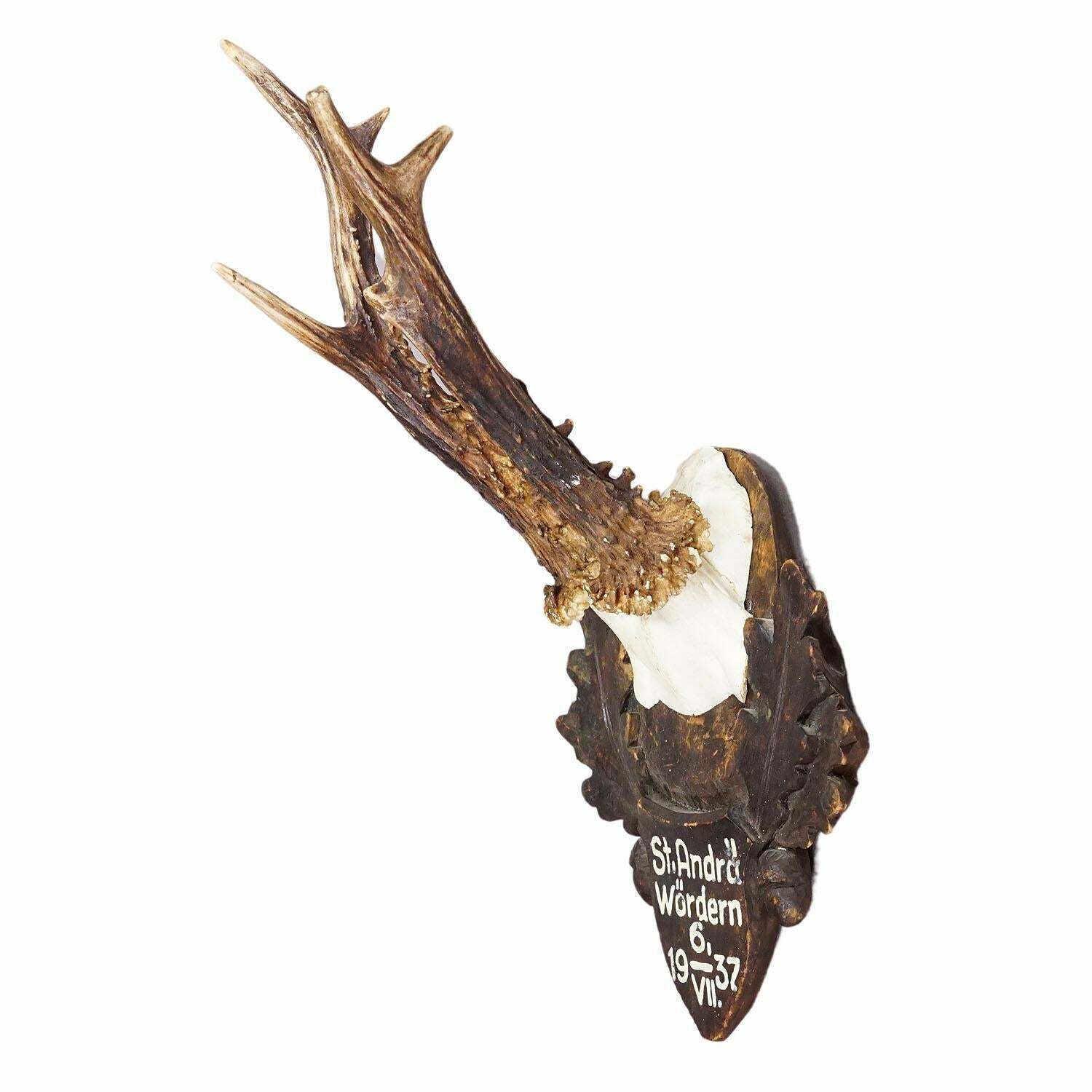 Great Deer Trophy Mount On Wooden Carved Plaque 1937 photo furniture