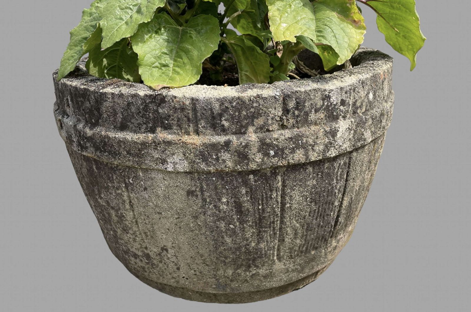 A Pair Of C1950 Garden Barrel Planters photo for sale