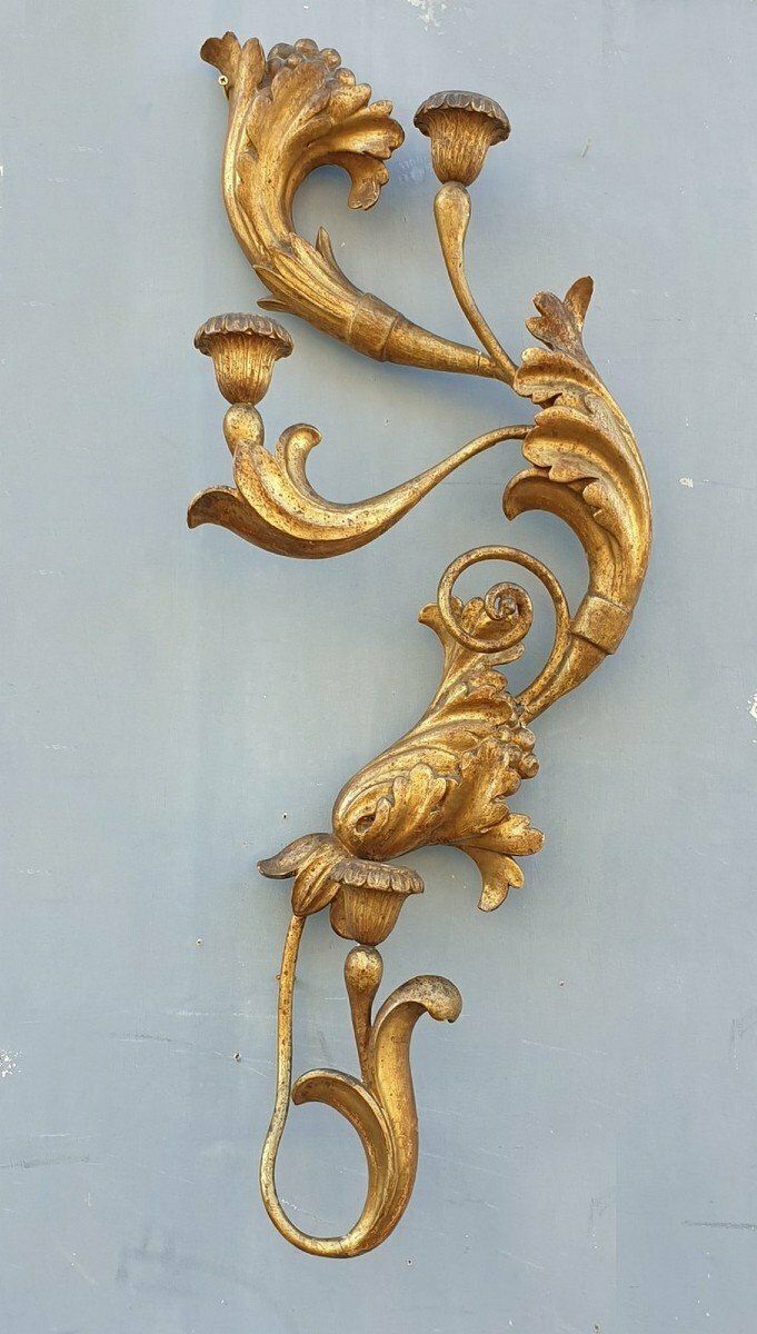 Large Sconce In Carved Golden Wood, Tuscany Xixth Century