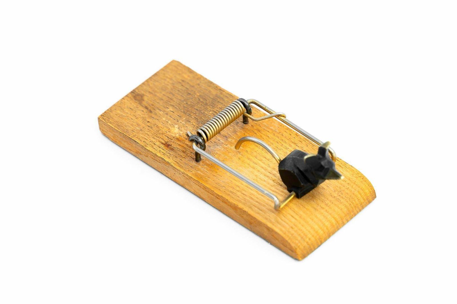 Rohac Notes Paper Holder ( For Business Cards ) Around 1950s photo furniture