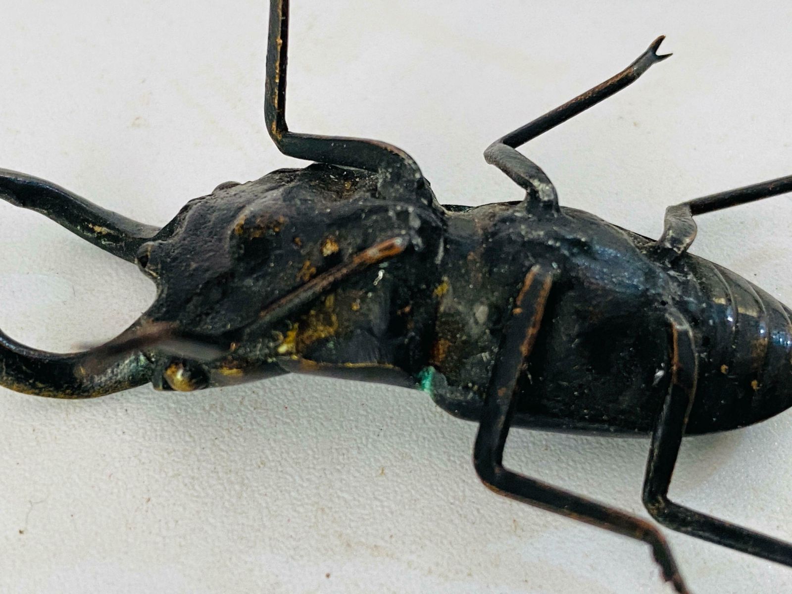 Antique Vienna Bronze Sculpture Of Beetles In Bergman Style Austria Set Of 2 photo furniture