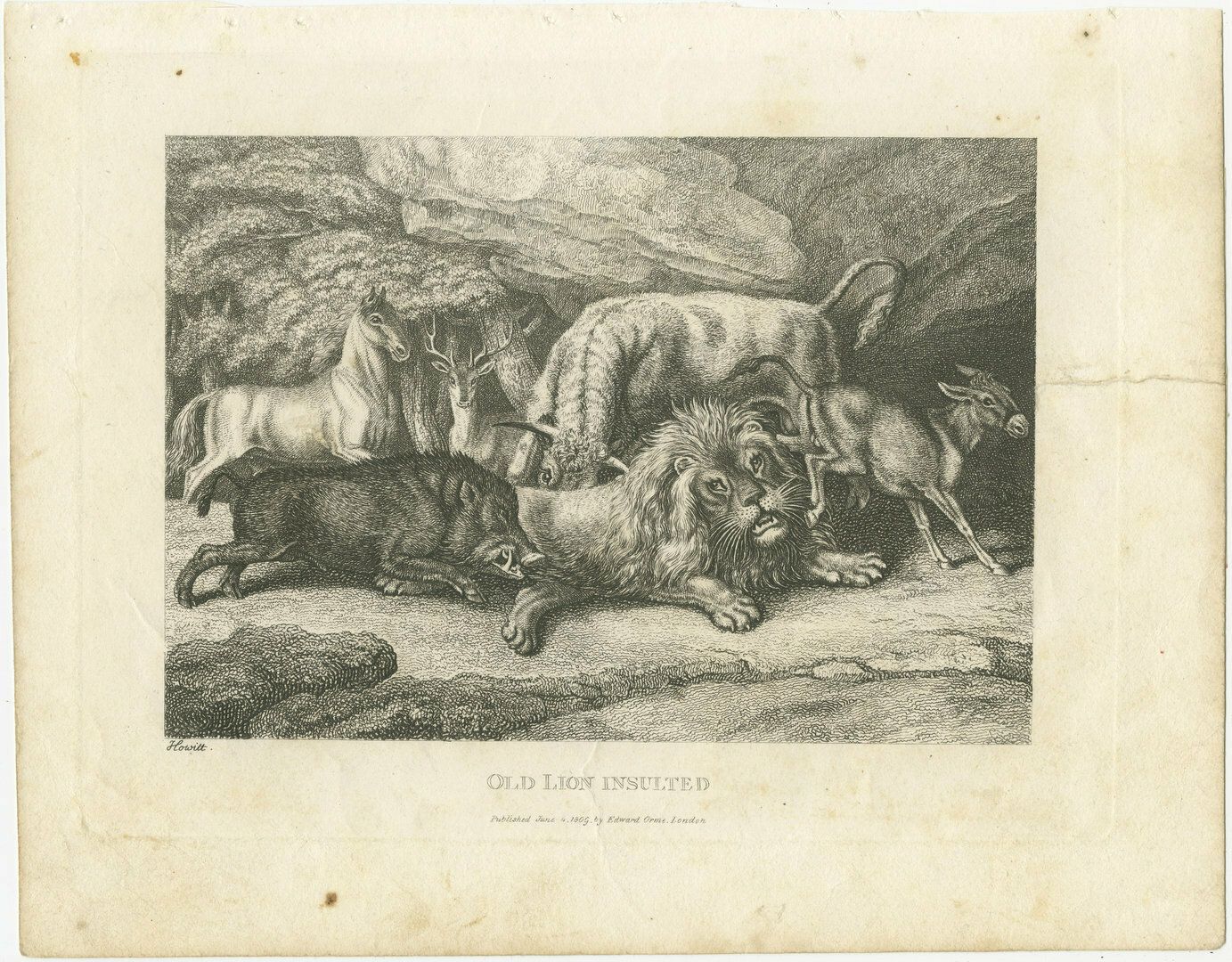 Original Antique Print Of Old Lion Insulted